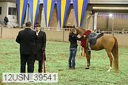 12usn_39541 thumbnail