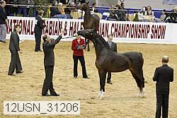 12usn_31206 thumbnail