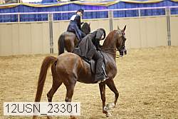 12usn_23301 thumbnail