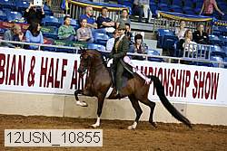 12usn_10855 thumbnail