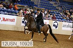 12usn_10928 thumbnail