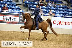 12usn_20421 thumbnail
