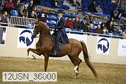 12usn_36000 thumbnail