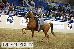 12usn_36002 thumbnail