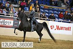 12usn_36006 thumbnail