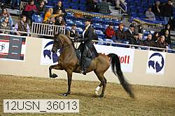 12usn_36013 thumbnail