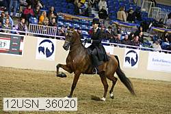 12usn_36020 thumbnail