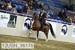 12usn_36176 thumbnail