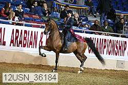 12usn_36184 thumbnail
