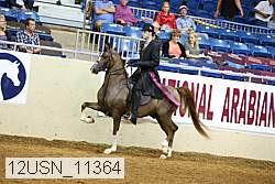 12usn_11364 thumbnail