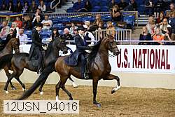 12usn_04016 thumbnail