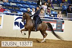 12usn_13377 thumbnail