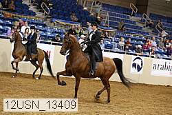12usn_13409 thumbnail
