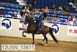 12usn_13411 thumbnail