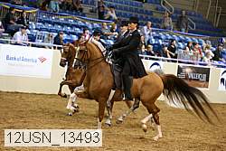 12usn_13493 thumbnail