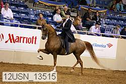12usn_13515 thumbnail