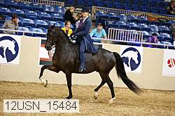 12usn_15484 thumbnail