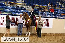 12usn_15564 thumbnail