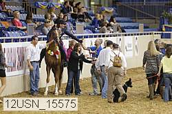 12usn_15575 thumbnail