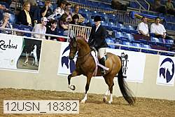 12usn_18382 thumbnail