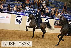 12usn_08832 thumbnail