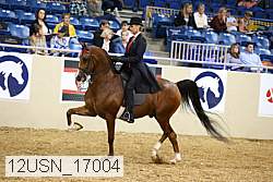12usn_17004 thumbnail