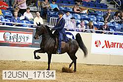 12usn_17134 thumbnail