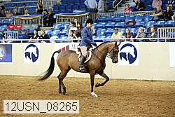 12usn_08265 thumbnail