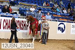 12usn_23040 thumbnail