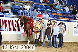 12usn_23049 thumbnail