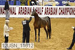 12usn_11612 thumbnail