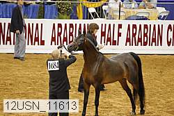12usn_11613 thumbnail