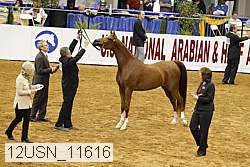 12usn_11616 thumbnail