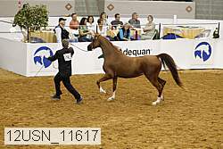 12usn_11617 thumbnail