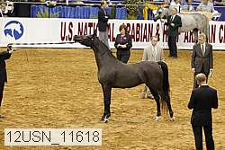 12usn_11618 thumbnail