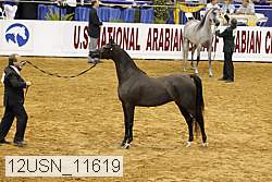 12usn_11619 thumbnail