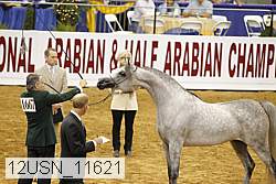 12usn_11621 thumbnail