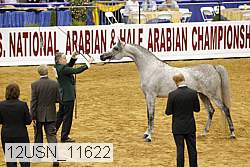 12usn_11622 thumbnail