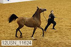 12usn_11624 thumbnail