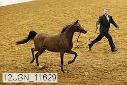 12usn_11629 thumbnail