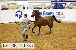 12usn_11631 thumbnail