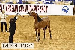 12usn_11634 thumbnail