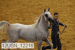 12usn_12216 thumbnail