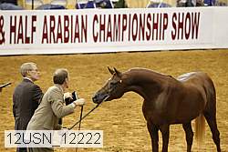 12usn_12222 thumbnail
