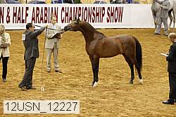 12usn_12227 thumbnail