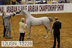 12usn_12228 thumbnail