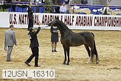 12usn_16310 thumbnail
