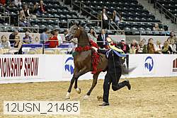 12usn_21465 thumbnail