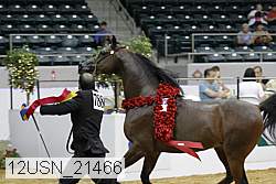 12usn_21466 thumbnail