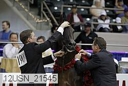 12usn_21545 thumbnail
